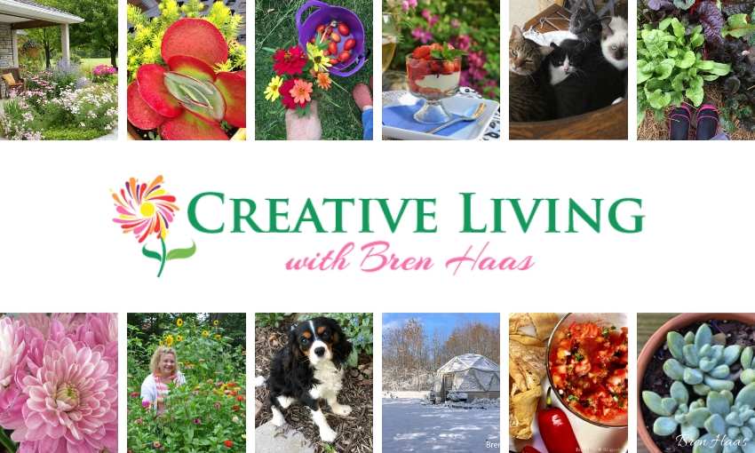 Creative Living with Bren Haas Blog